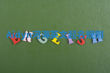 Aidyn河海英文起名规则