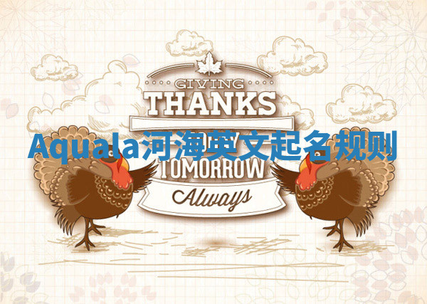 Aquala河海英文起名规则