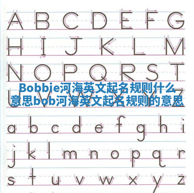 Bobbie河海英文起名规则什么意思 bob河海英文起名规则的意思 Bobbie河海英文起名规则什么意思 bob河海英文起名规则的意思