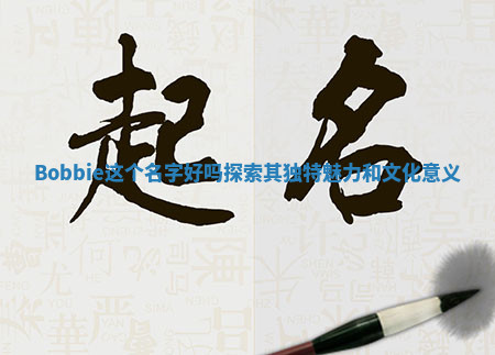 Bobbie这个名字好吗探索其独特魅力和文化意义 Bobbie这个名字好吗探索其独特魅力和文化意义