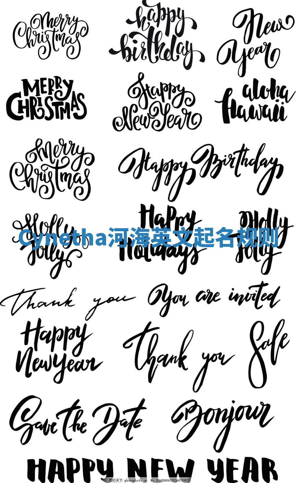 Cynetha河海英文起名规则