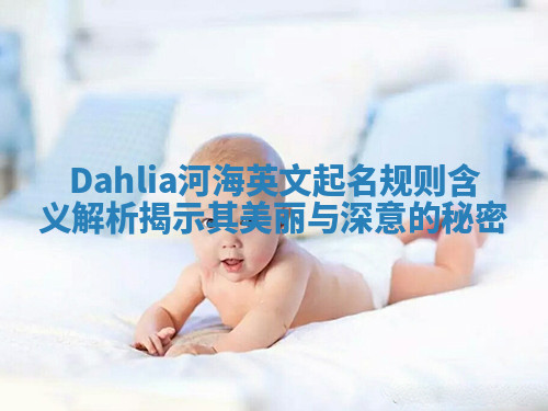 Dahlia河海英文起名规则含义解析揭示其美丽与深意的秘密 Dahlia河海英文起名规则含义解析揭示其美丽与深意的秘密