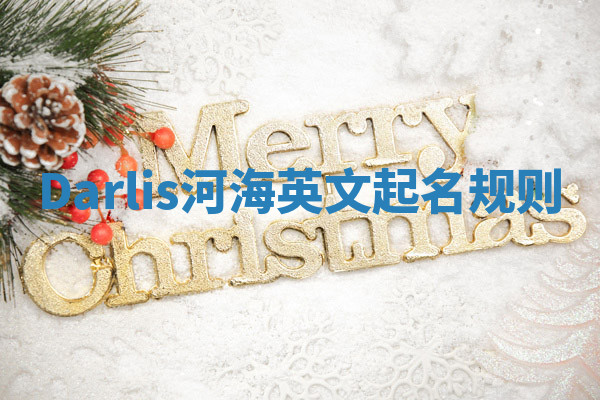 Darlis河海英文起名规则