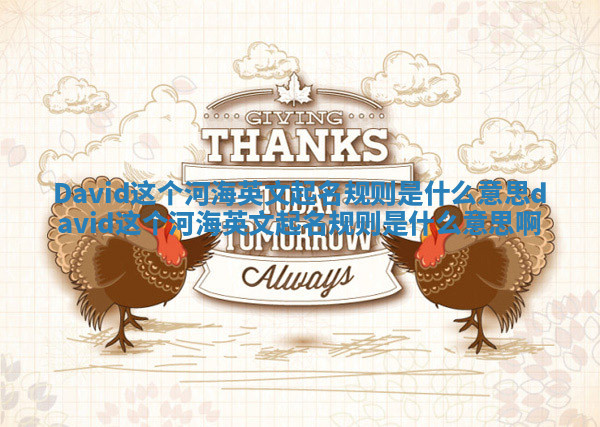 David这个河海英文起名规则是什么意思 david这个河海英文起名规则是什么意思啊