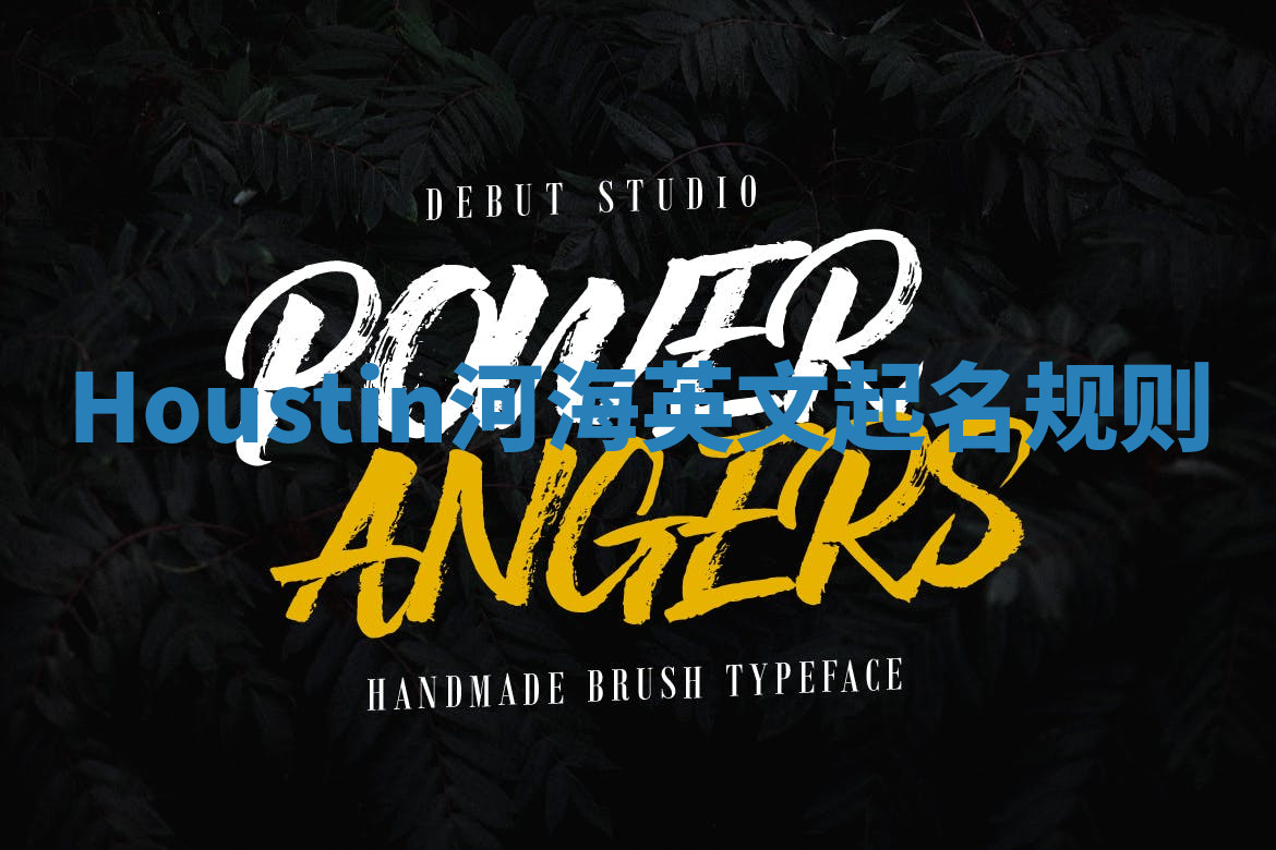 Houstin河海英文起名规则