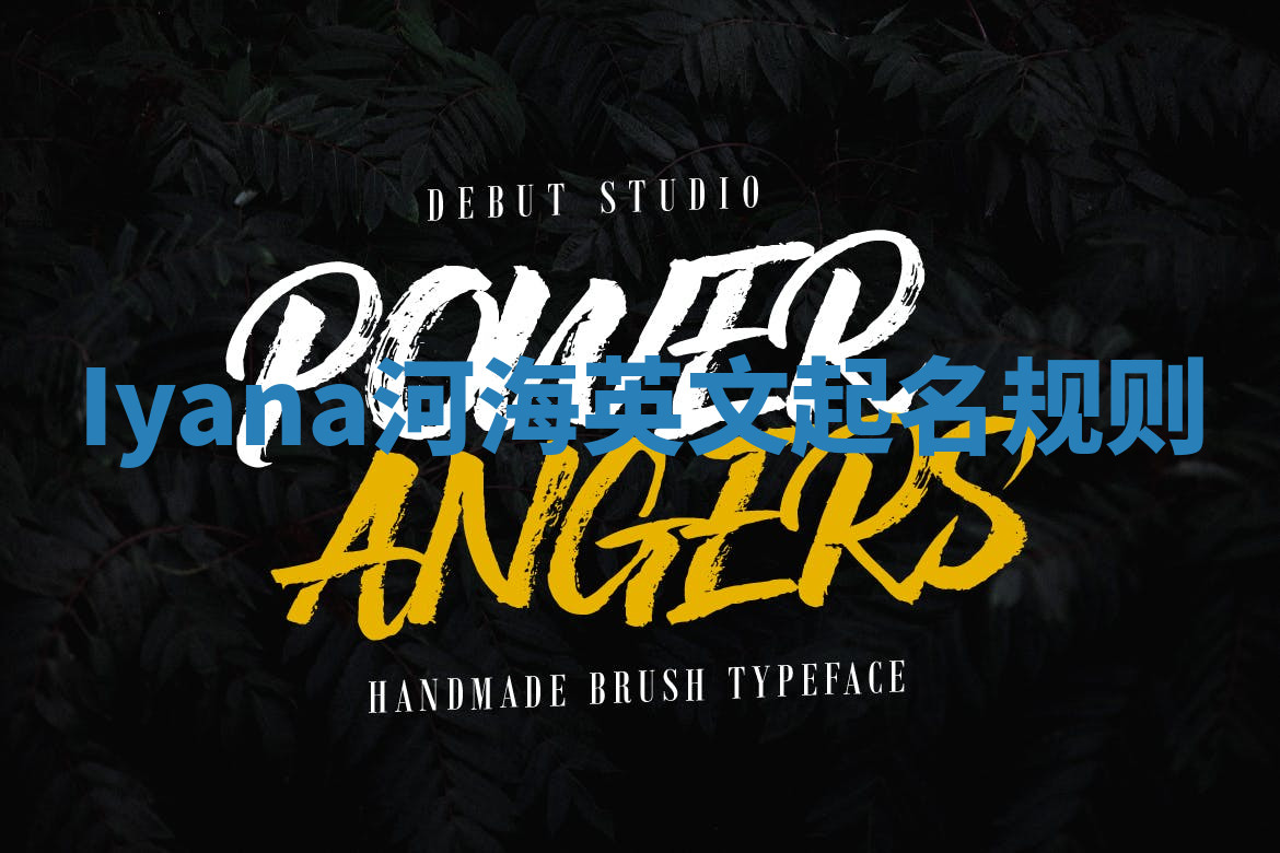 Iyana河海英文起名规则