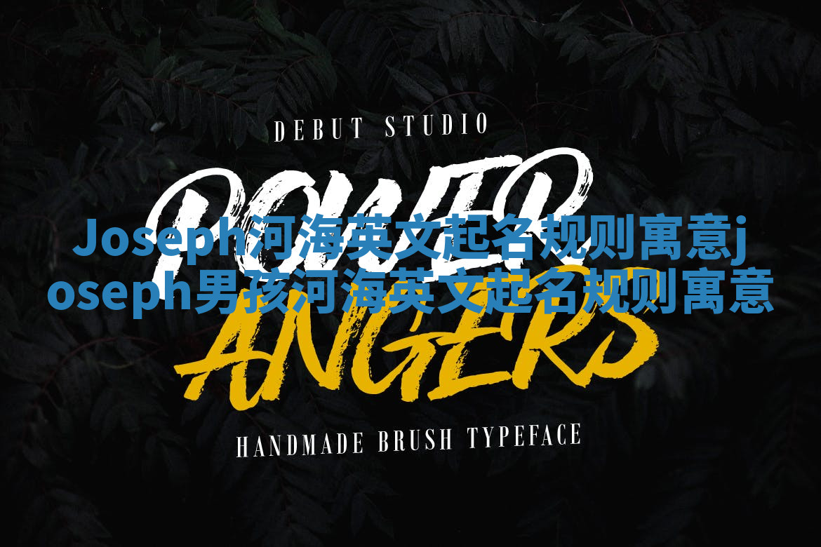 Joseph河海英文起名规则寓意_joseph男孩河海英文起名规则寓意 Joseph河海英文起名规则寓意_joseph男孩河海英文起名规则寓意