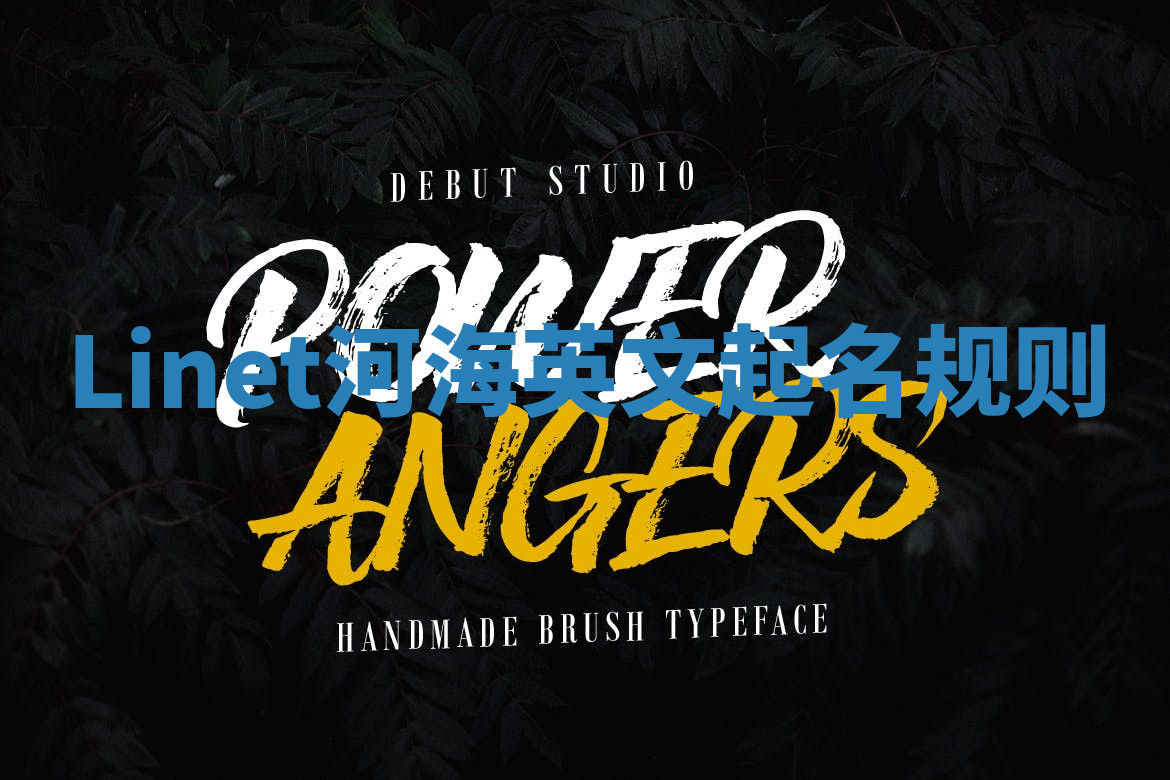 Linet河海英文起名规则 Linet河海英文起名规则