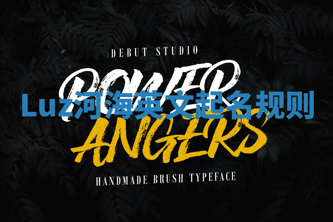 Luz河海英文起名规则