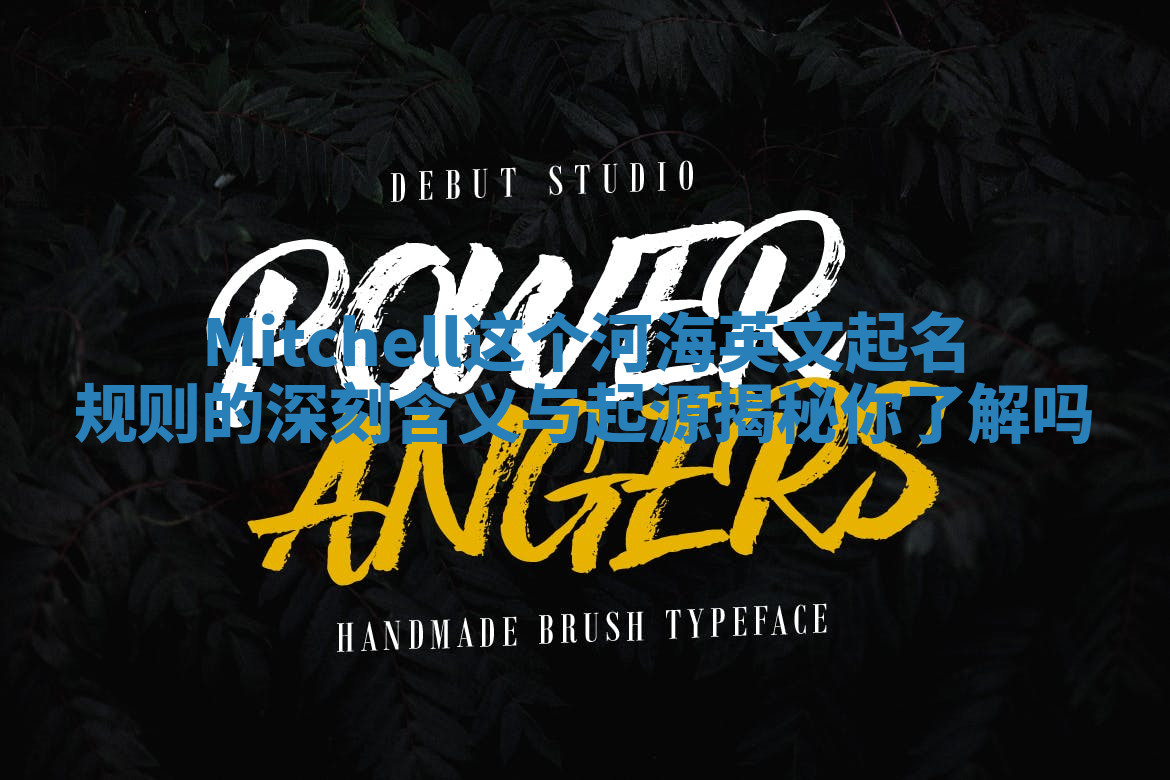 Mitchell这个河海英文起名规则的深刻含义与起源揭秘你了解吗