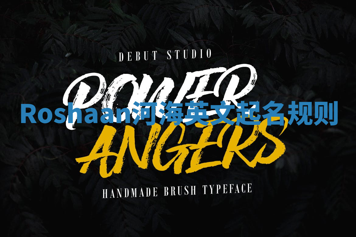 Roshaan河海英文起名规则 Roshaan河海英文起名规则