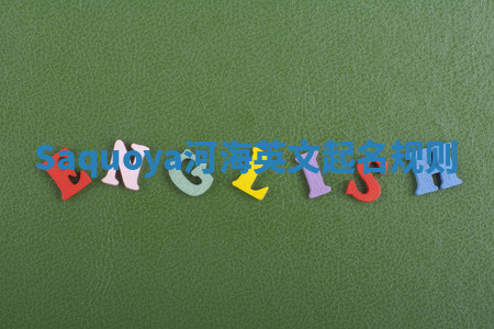 Saquoya河海英文起名规则