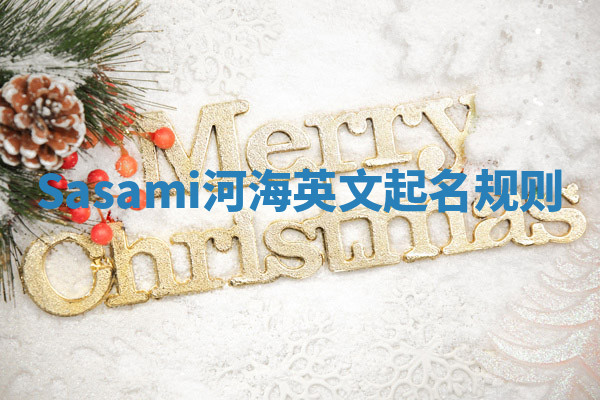 Sasami河海英文起名规则 Sasami河海英文起名规则