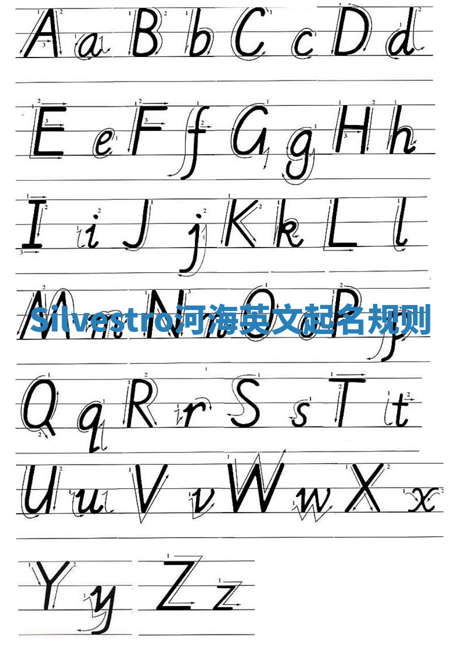 Silvestro河海英文起名规则