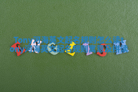 Tony河海英文起名规则怎么读_tony 河海英文起名规则寓意及拼读 Tony河海英文起名规则怎么读_tony 河海英文起名规则寓意及拼读