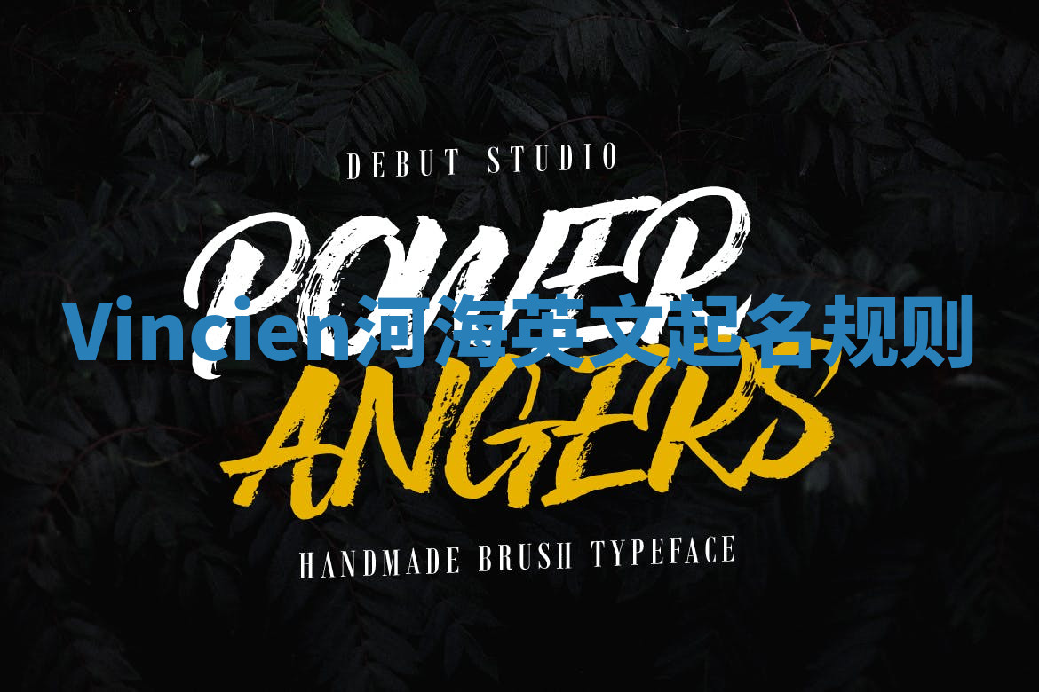 Vincien河海英文起名规则 Vincien河海英文起名规则