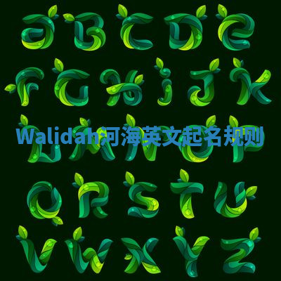 Walidah河海英文起名规则 Walidah河海英文起名规则