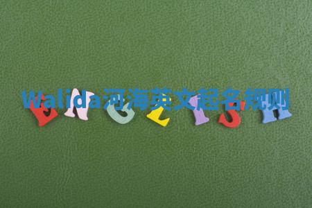 Walida河海英文起名规则