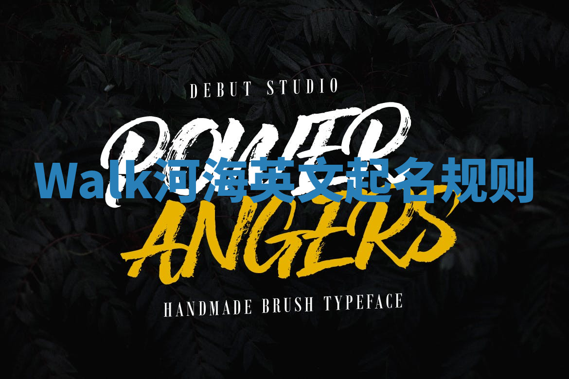Walk河海英文起名规则