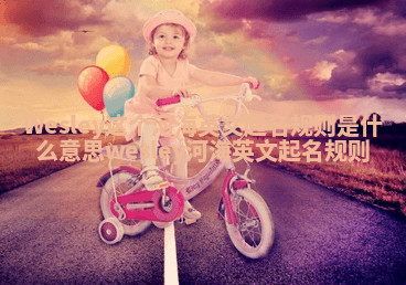Wesley这个河海英文起名规则是什么意思_wesley 河海英文起名规则 Wesley这个河海英文起名规则是什么意思_wesley 河海英文起名规则